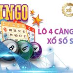 Lô 4 càng hay về - xososieutocvn